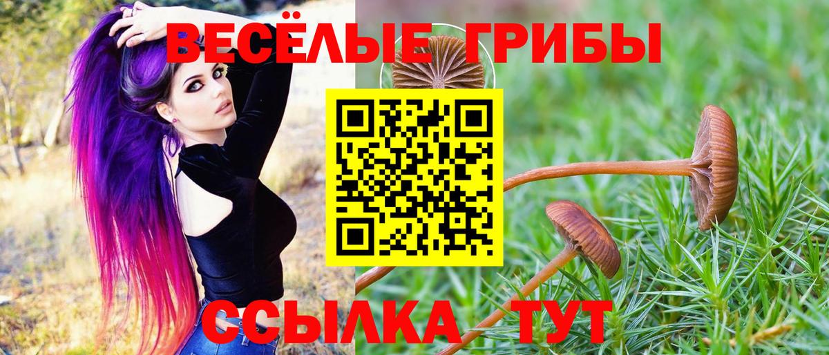 Псилоцибиновые грибы мухоморы Электрогорск