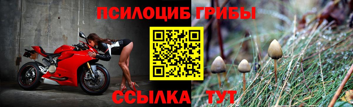 Псилоцибиновые грибы Psilocybine cubensis  магазин продажи наркотиков  Электрогорск  Вход с VPN 